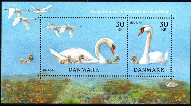Danmark Afa: 1972A - Europa. Knopsvaner **