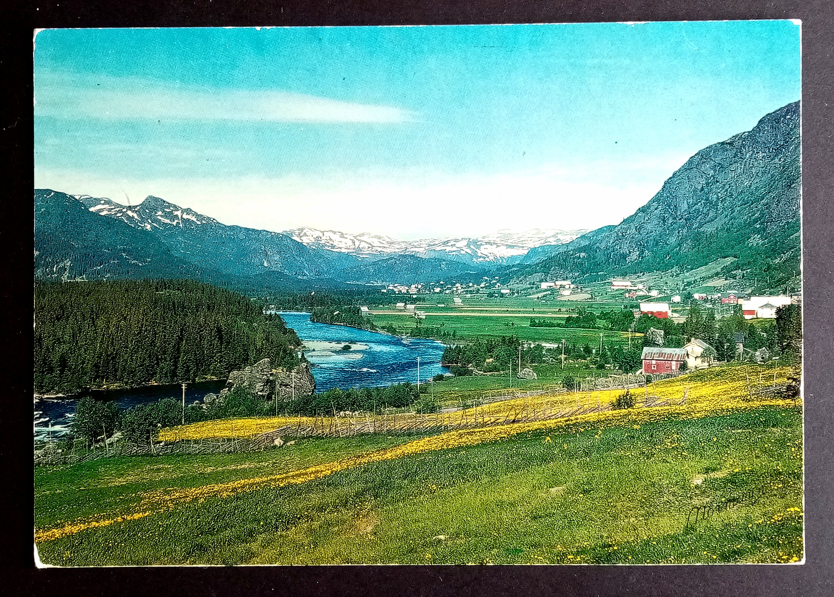 Parti fra Hemsedal. - Ruten Gol - Lærdal.