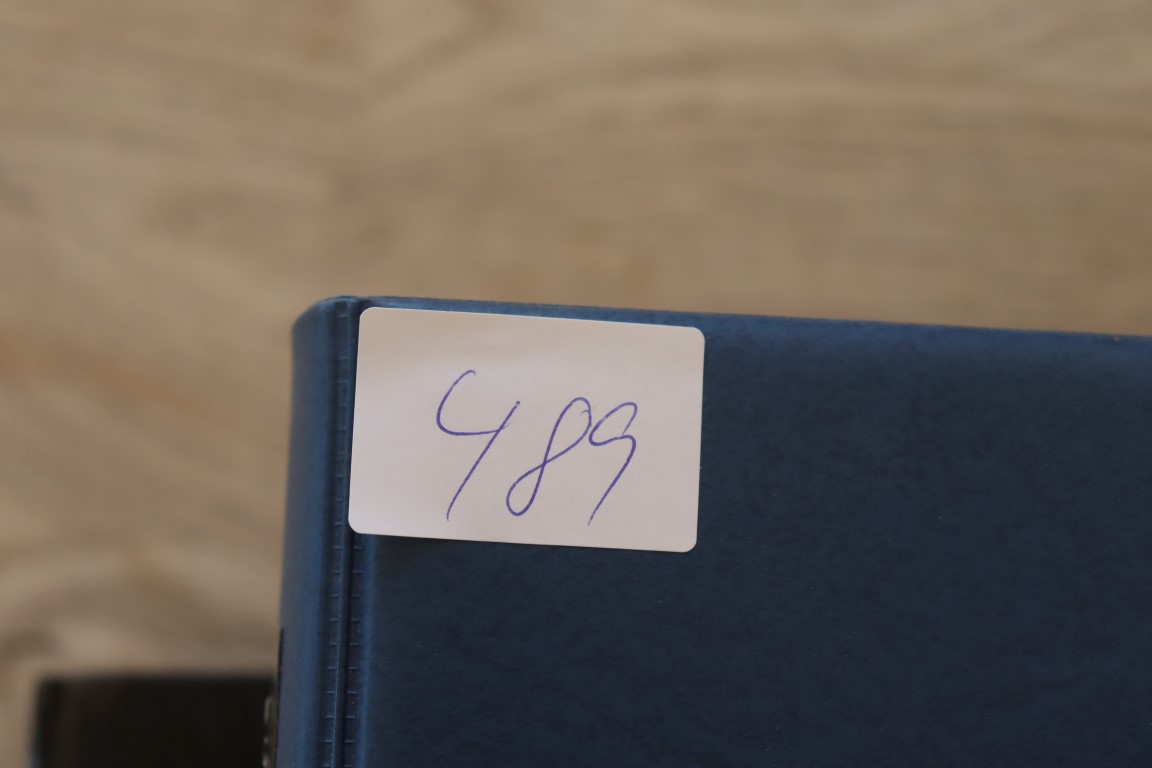 Godt Lot bøger med Skandinavien (489)