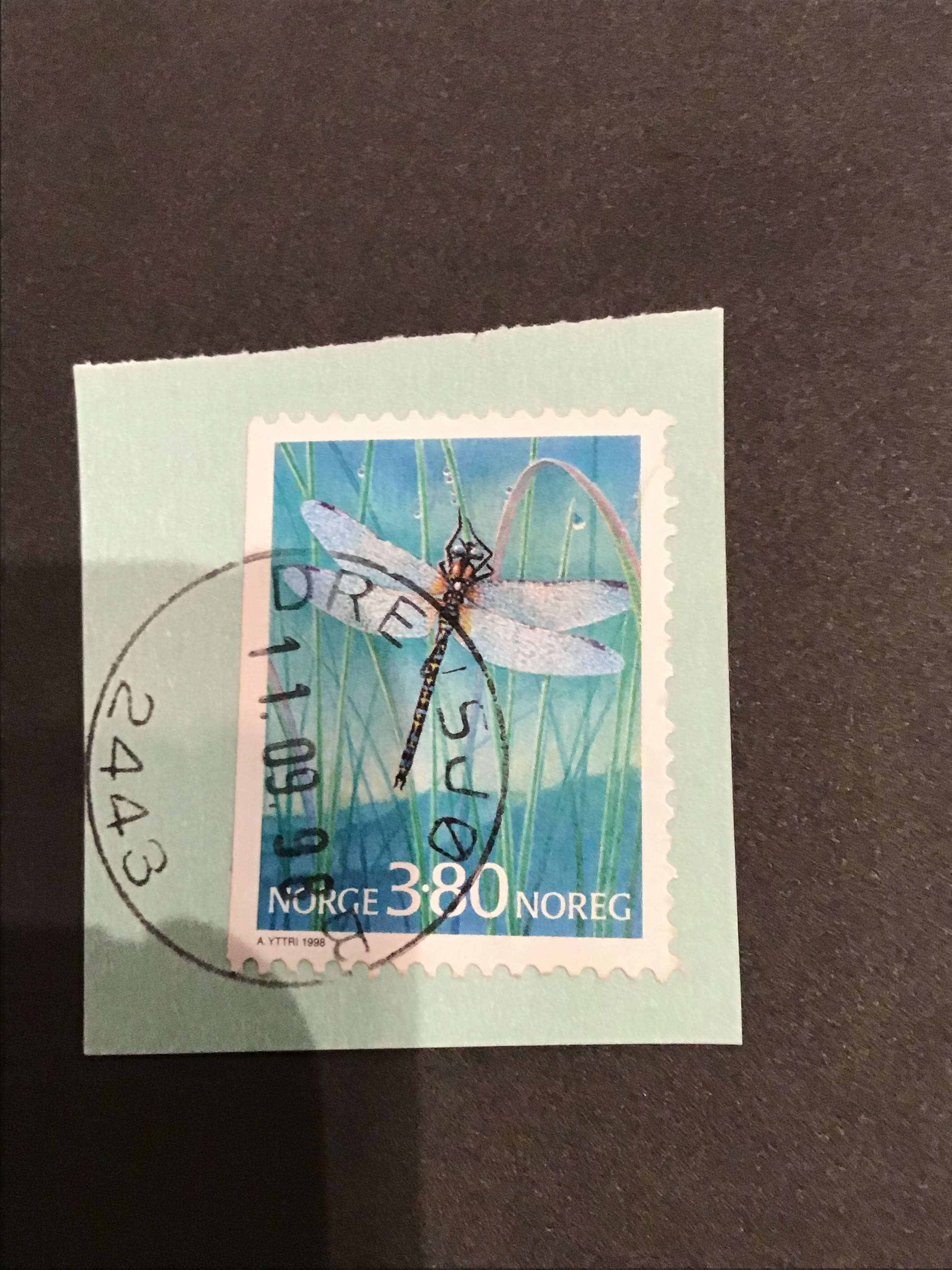 Drevsjø. 11 09 98