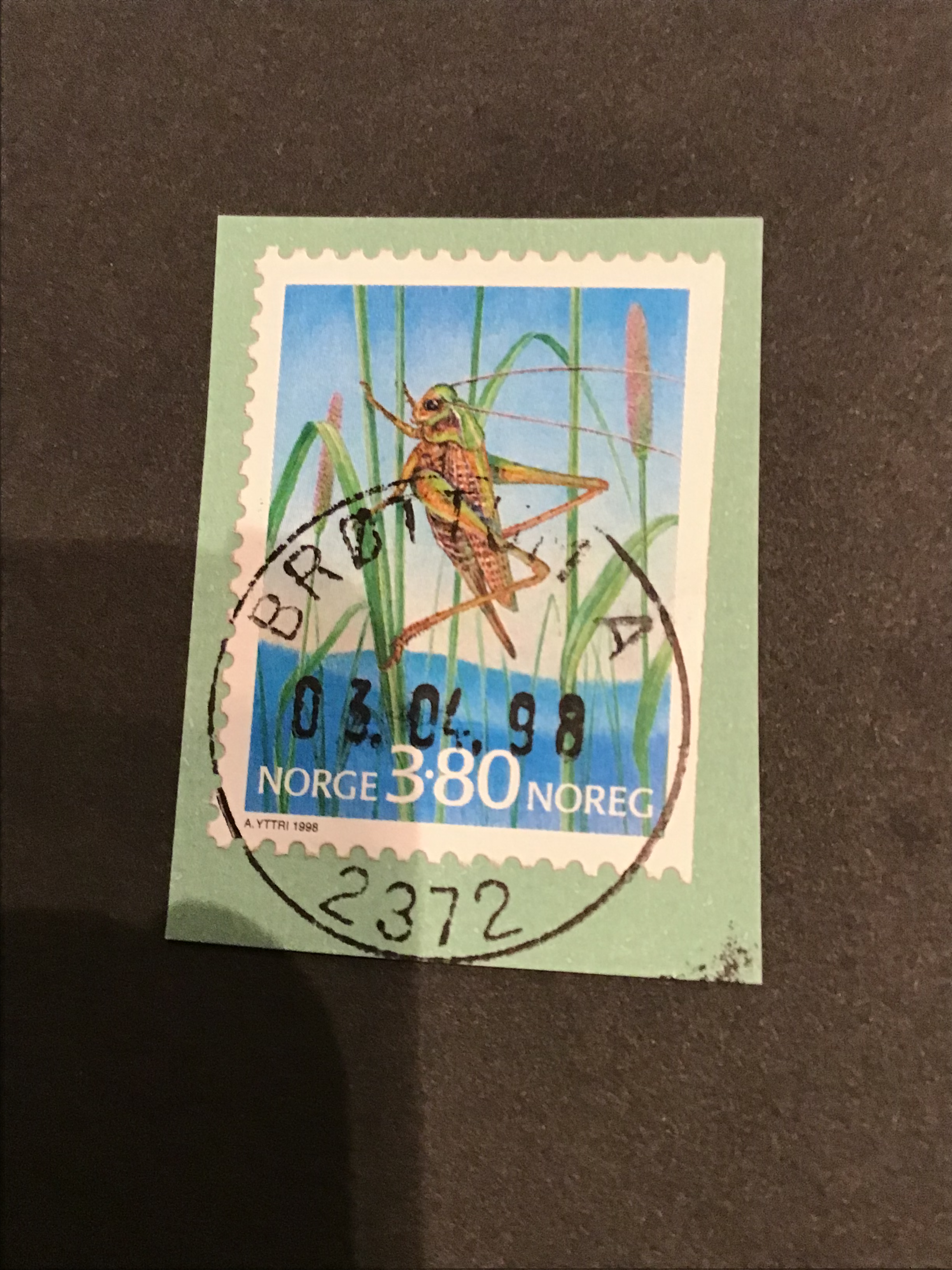 Brøttum. 03 04 98