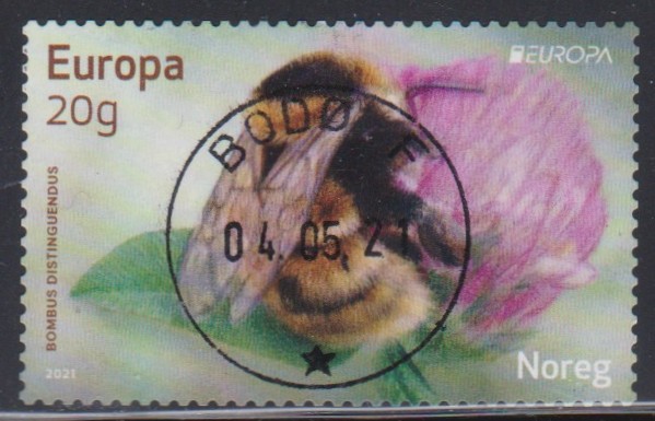 Nk 2050.  Bodø F 04.05.21