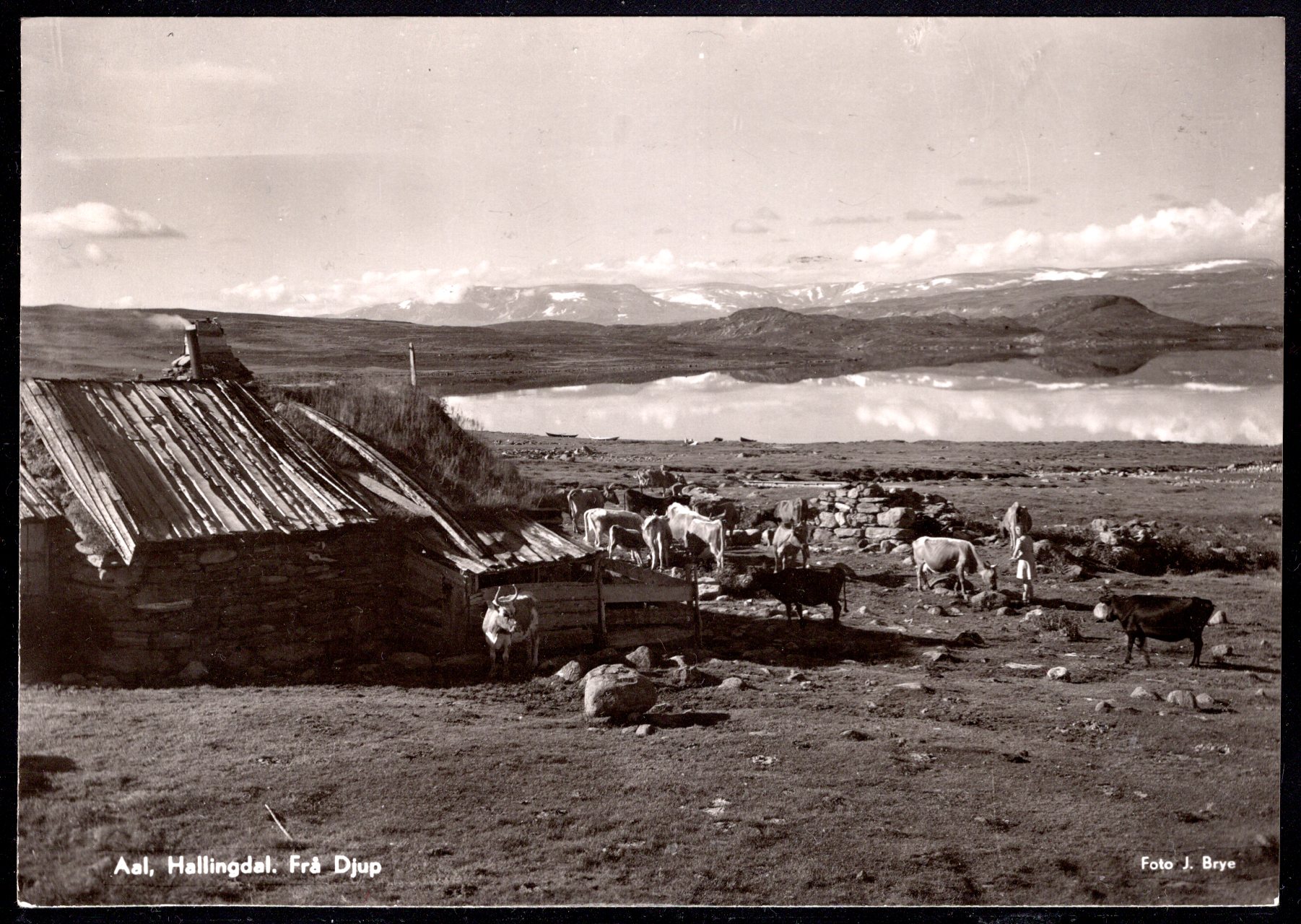 Aal Hallingdal Frå Djup stemplet Oslo 1951 se scan