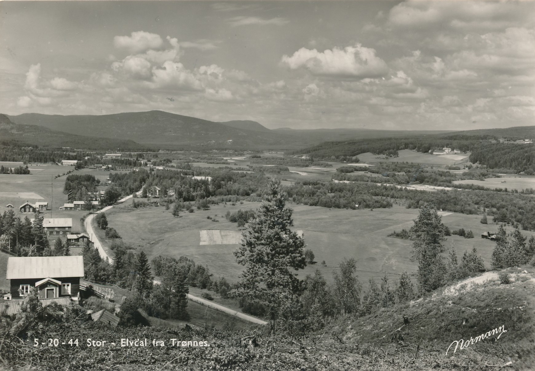 Stor - Elvdal fra Trønnes 1956 - Normann S-20-44