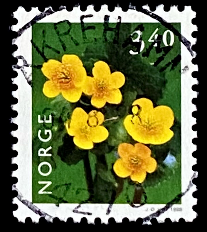 NK 1318 Åkrehamn