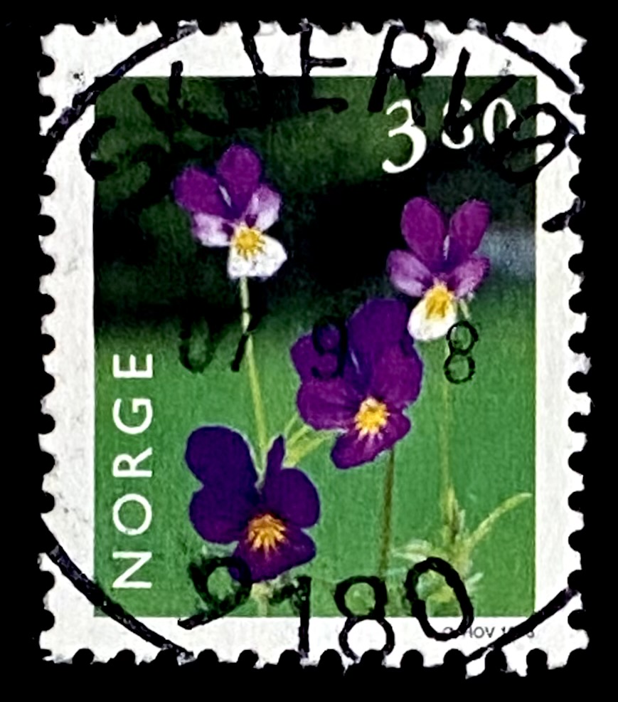 NK 1319 Skjervøy