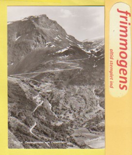 Geiangerveien,  Norge postkort ubrugt (48984)