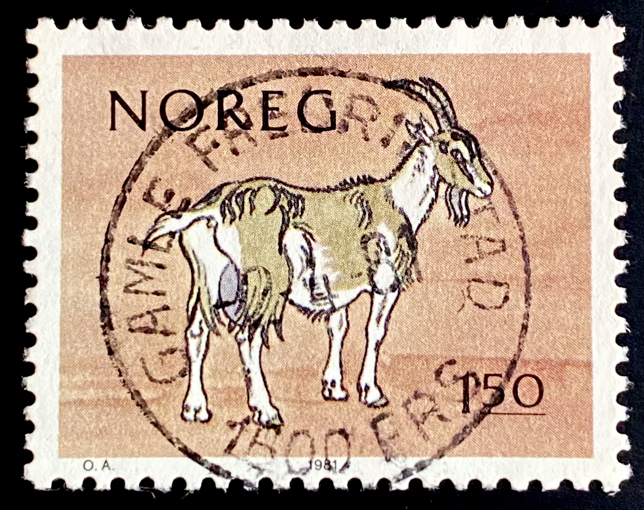 NK 883 Gjøvik Kopperud