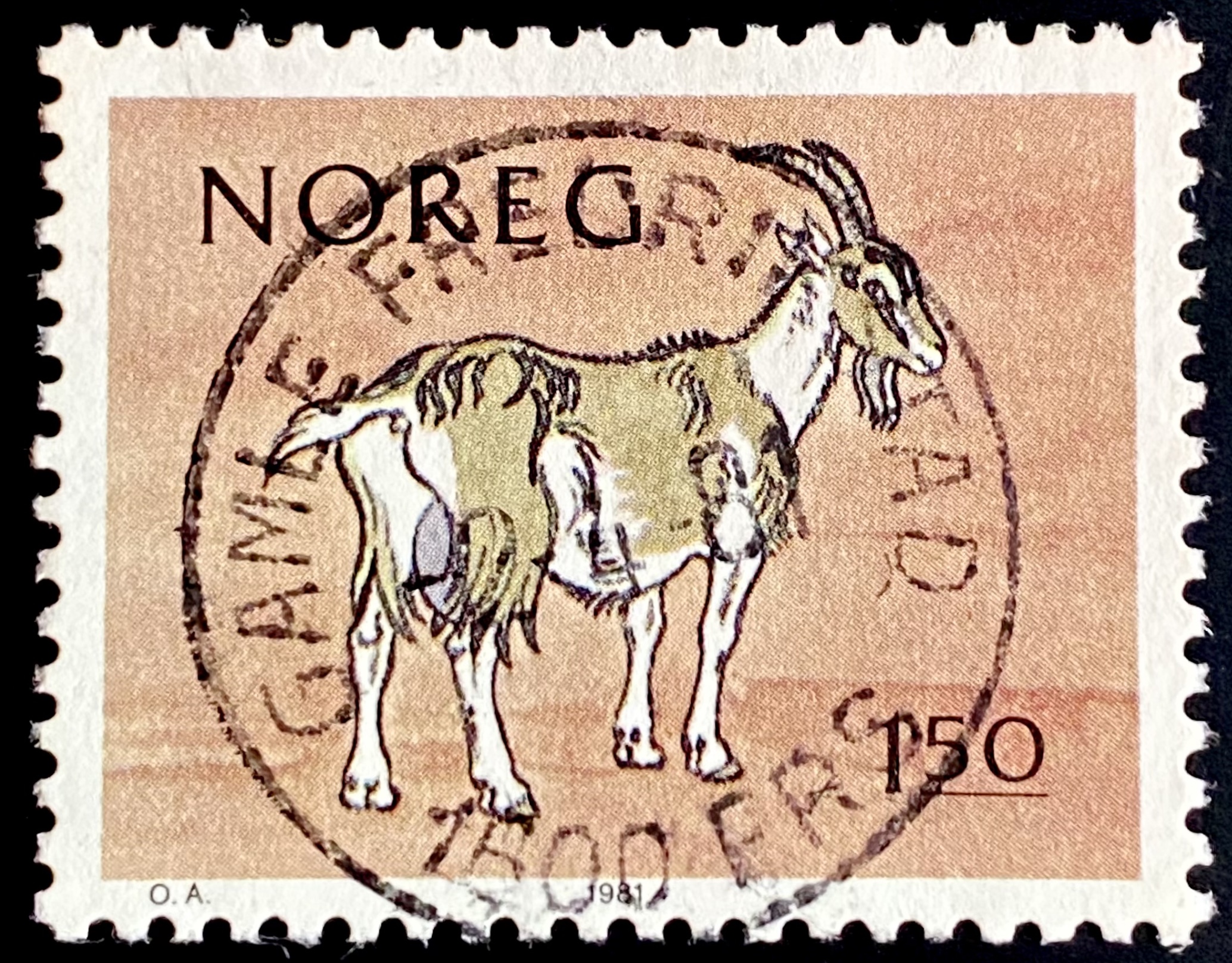 NK 883 Gamle Fredrikstad