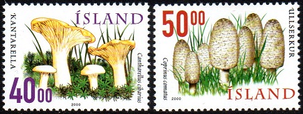Island Afa: 928-29 - Ville sopp II **