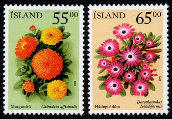 Island Afa: 960-61 - Sommerblomster II **