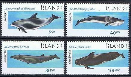 Island Afa: 974-77 - Havpattedyr III **