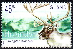 Island Afa: 1030 - Reinsdyr **