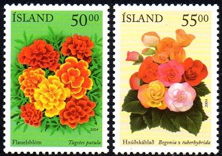 Island Afa: 1036-37 - Sommerblomster V **