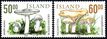 Island Afa: 1057-58 - Ville sopp IV **