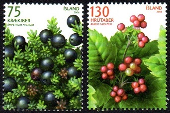 Island Afa: 1121-22 - Ville bær **