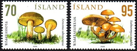 Island Afa: 1128-29 - Ville spiselige sopp V **