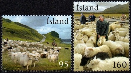 Island Afa: 1226-27 - Innsamling av får **