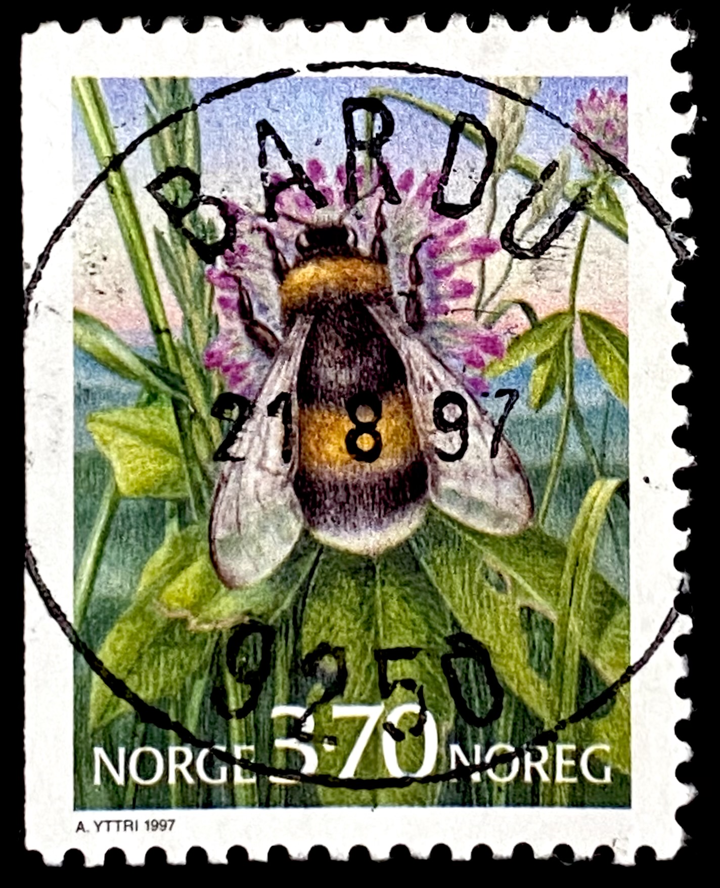 NK 1289 Bardu