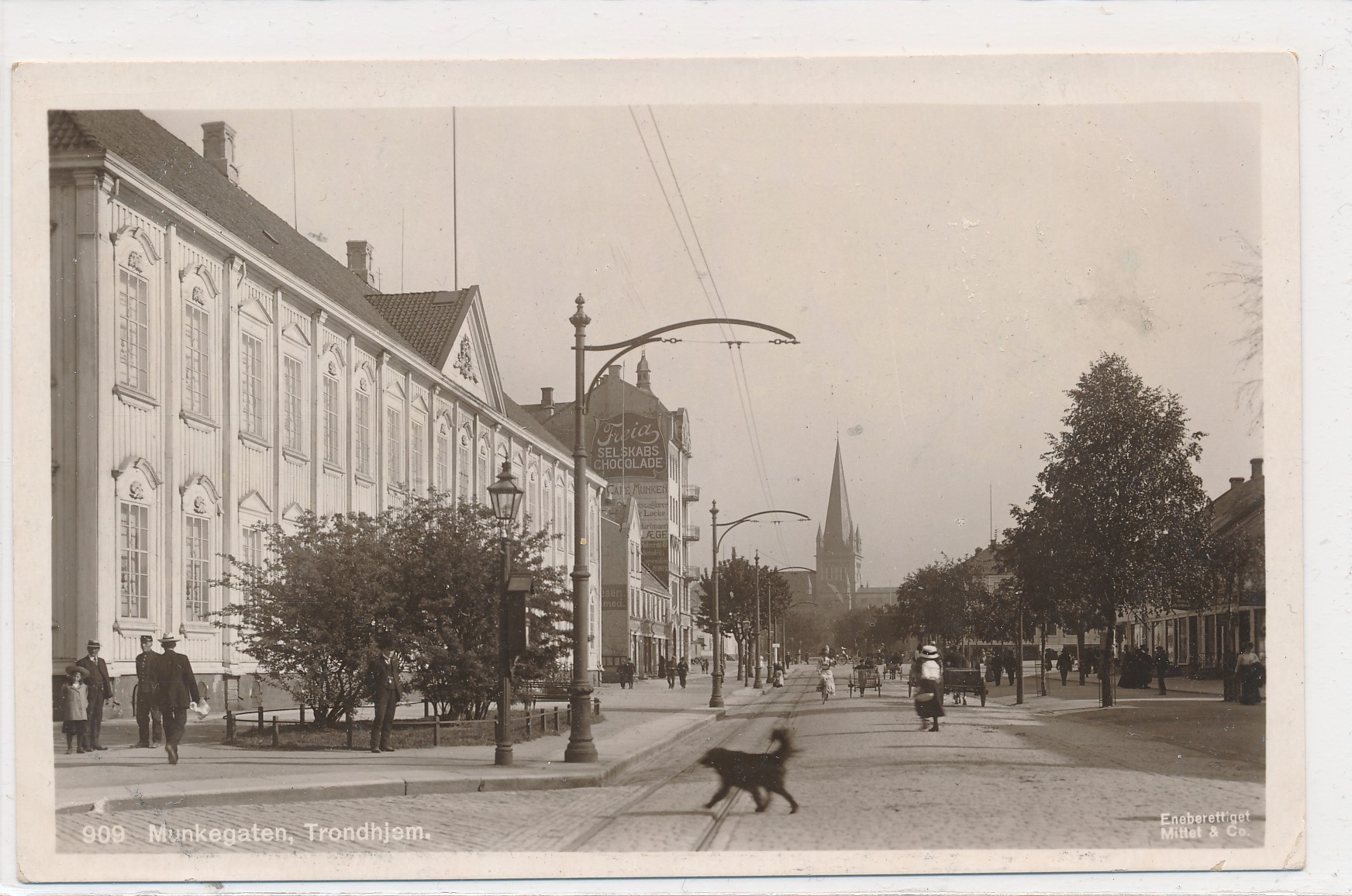 Munkegaten Trondhjem med hund. Mittet & co 909