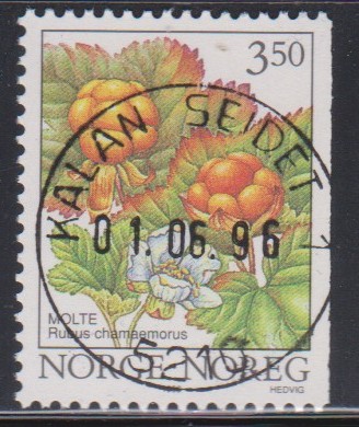 Nk 1254.  Kalan seidet 1, 01.06.96.