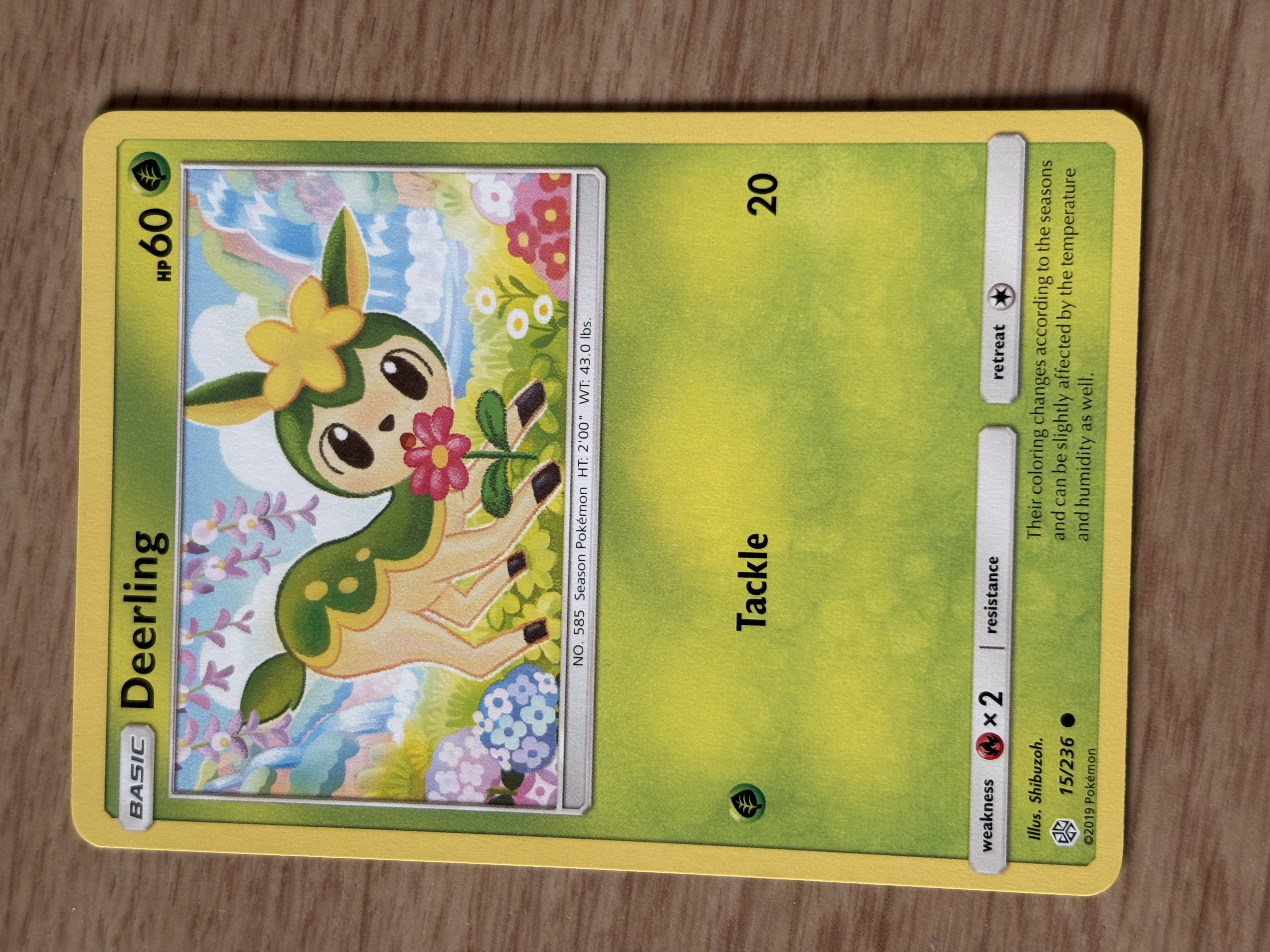 2019 - Deerling - HP 60 - 15/236 - V