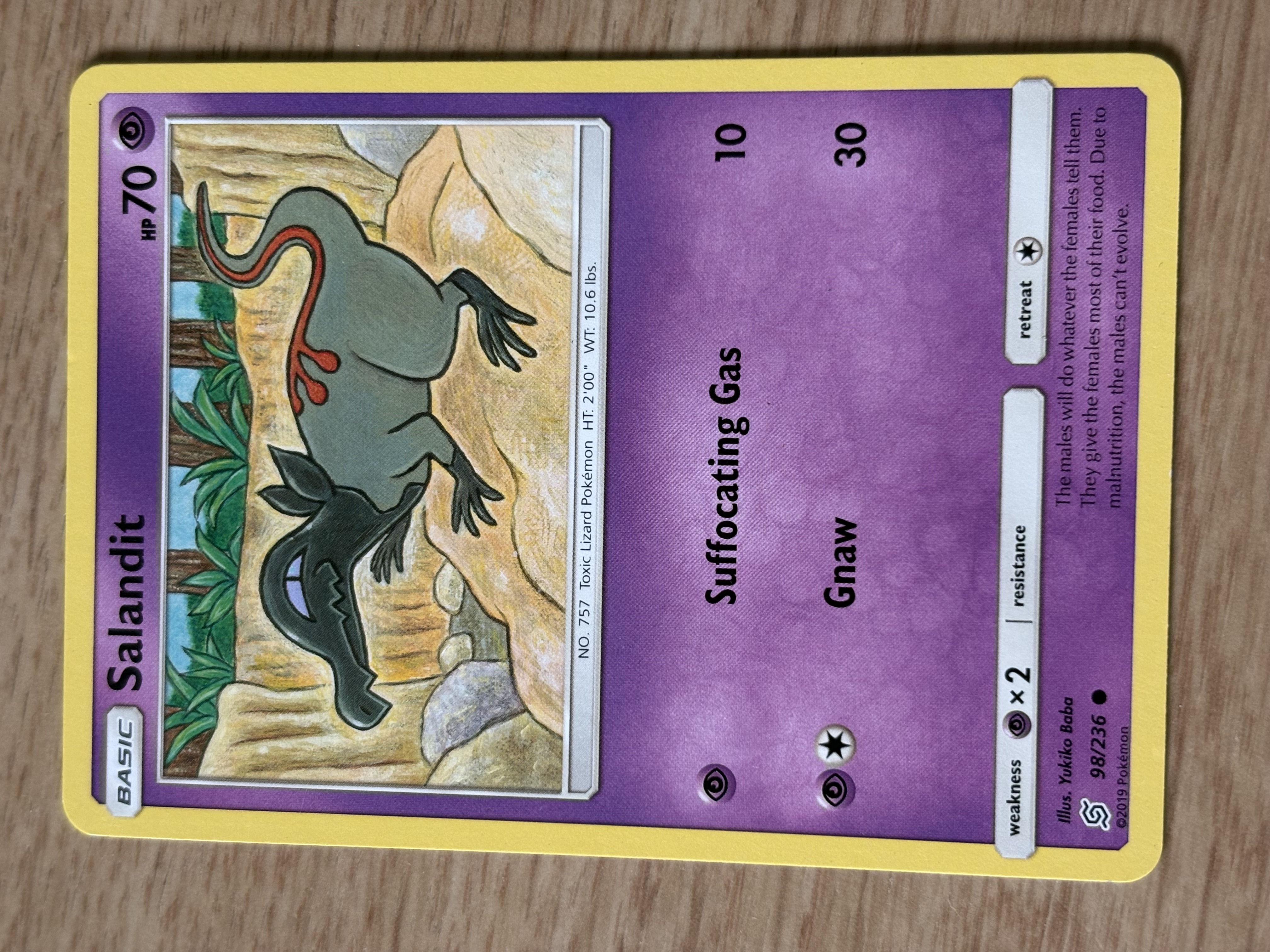 2019 - Salandit - HP 70 - 98/236 - V