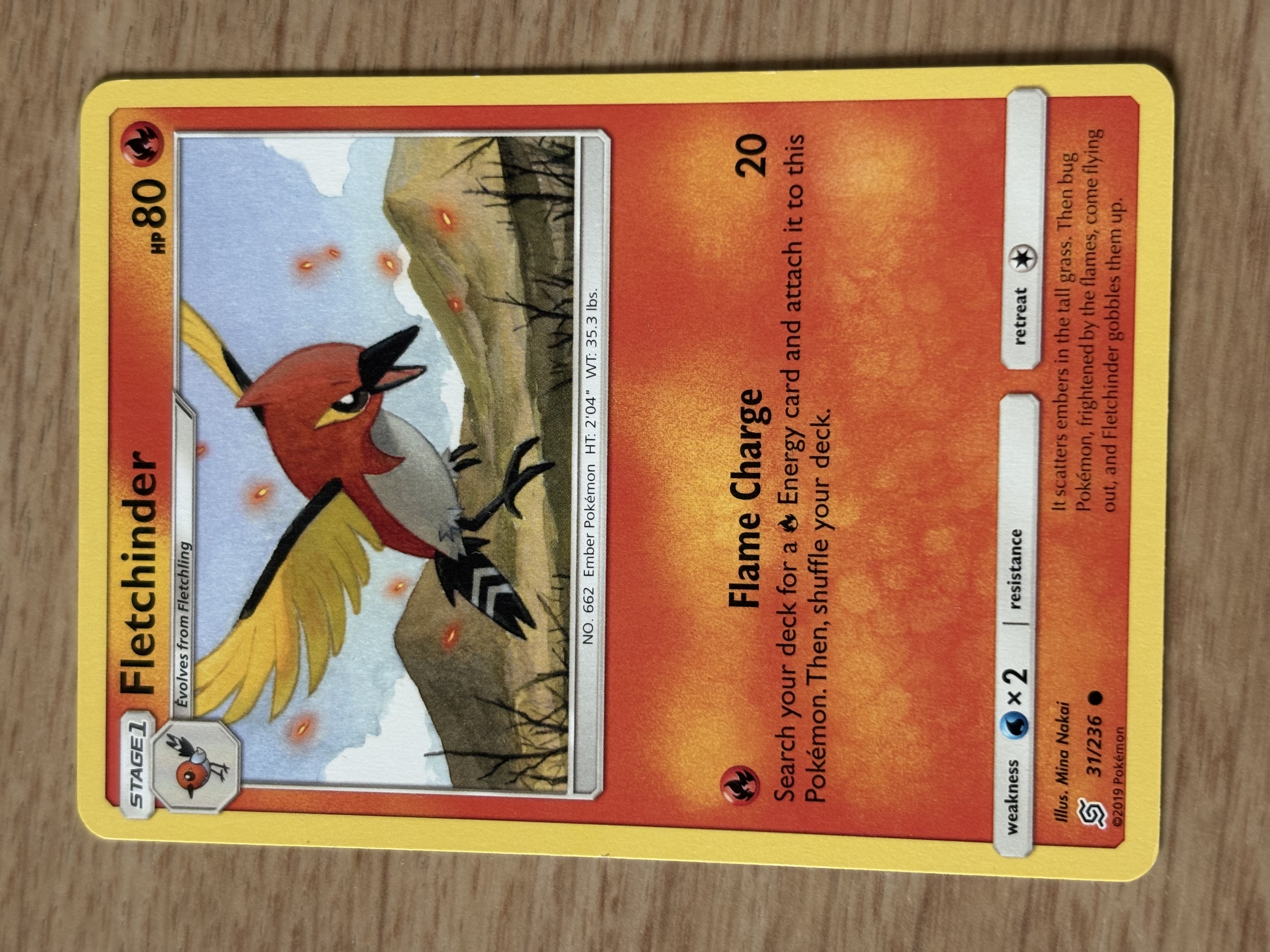 2019 - Fletchinder - HP 80 - 31/236 - V