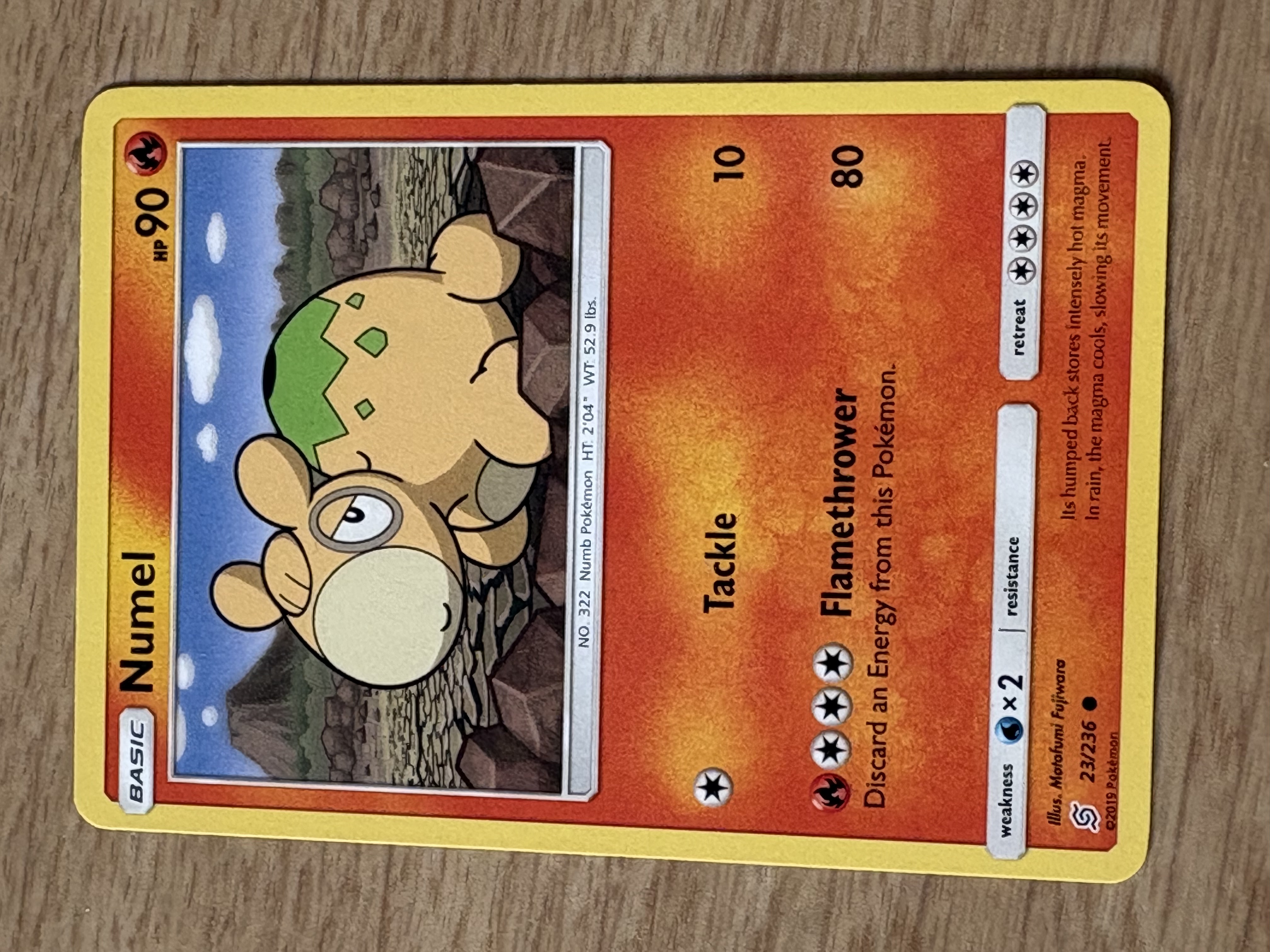 2019 - Numel - HP 90 - 23/236 - V