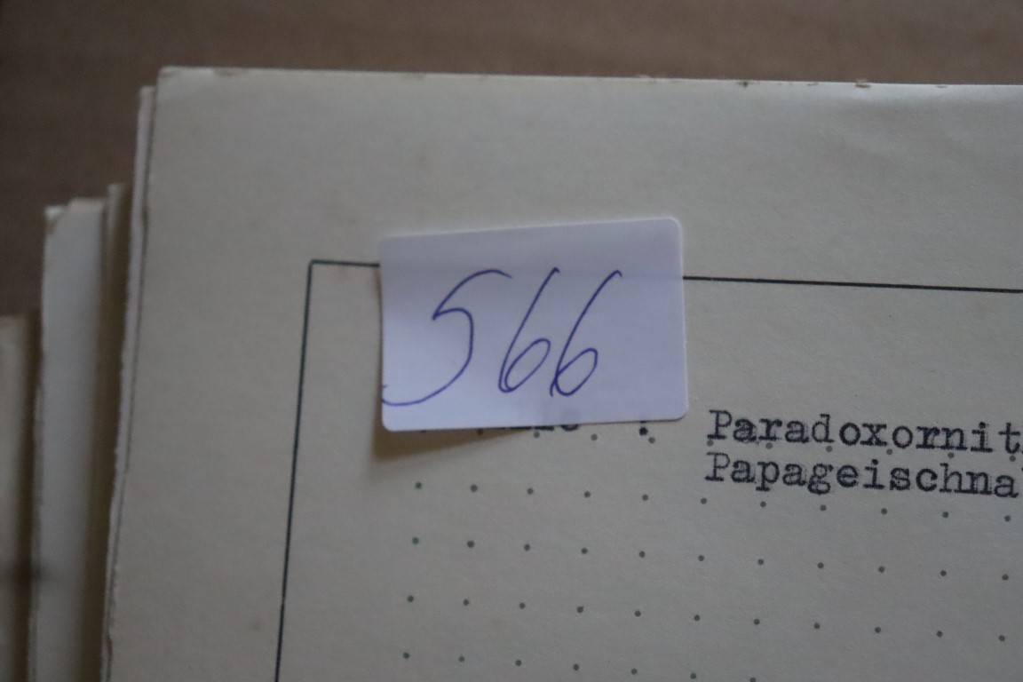 Flot Motiv samling - Hele Verden (566)
