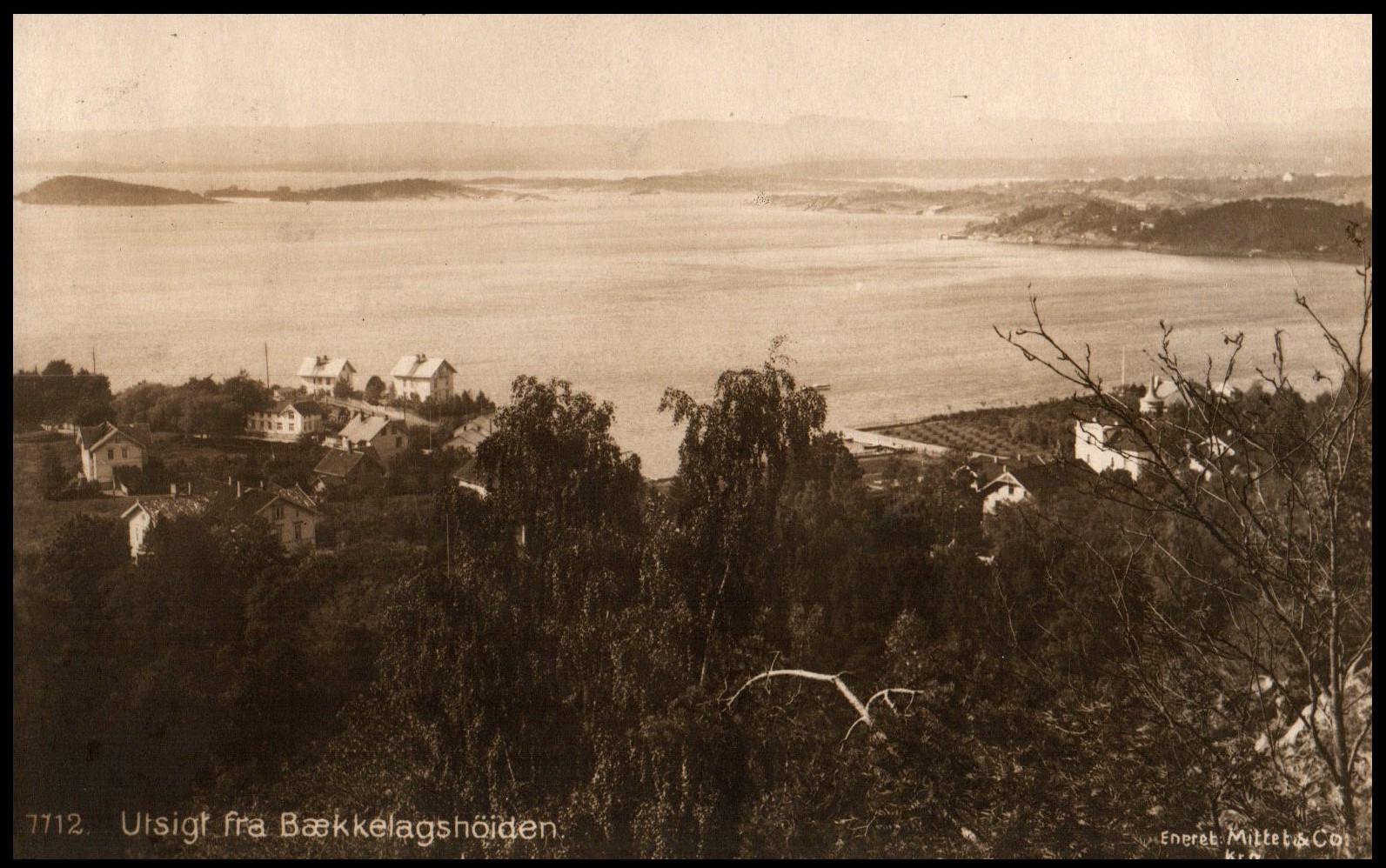 Bækkelagshøiden, utsigt fra. (Mittet 7712)