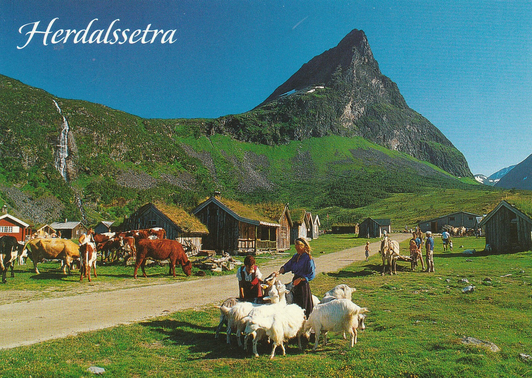 Herdalssetra , Norddal . Aune 178600