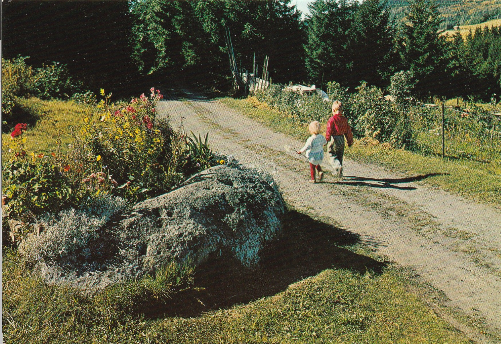 Ringsaker . "Præstvægen" . Ved Alf Prøysens barndaomshjem (1914-1970) Normann F-1-111