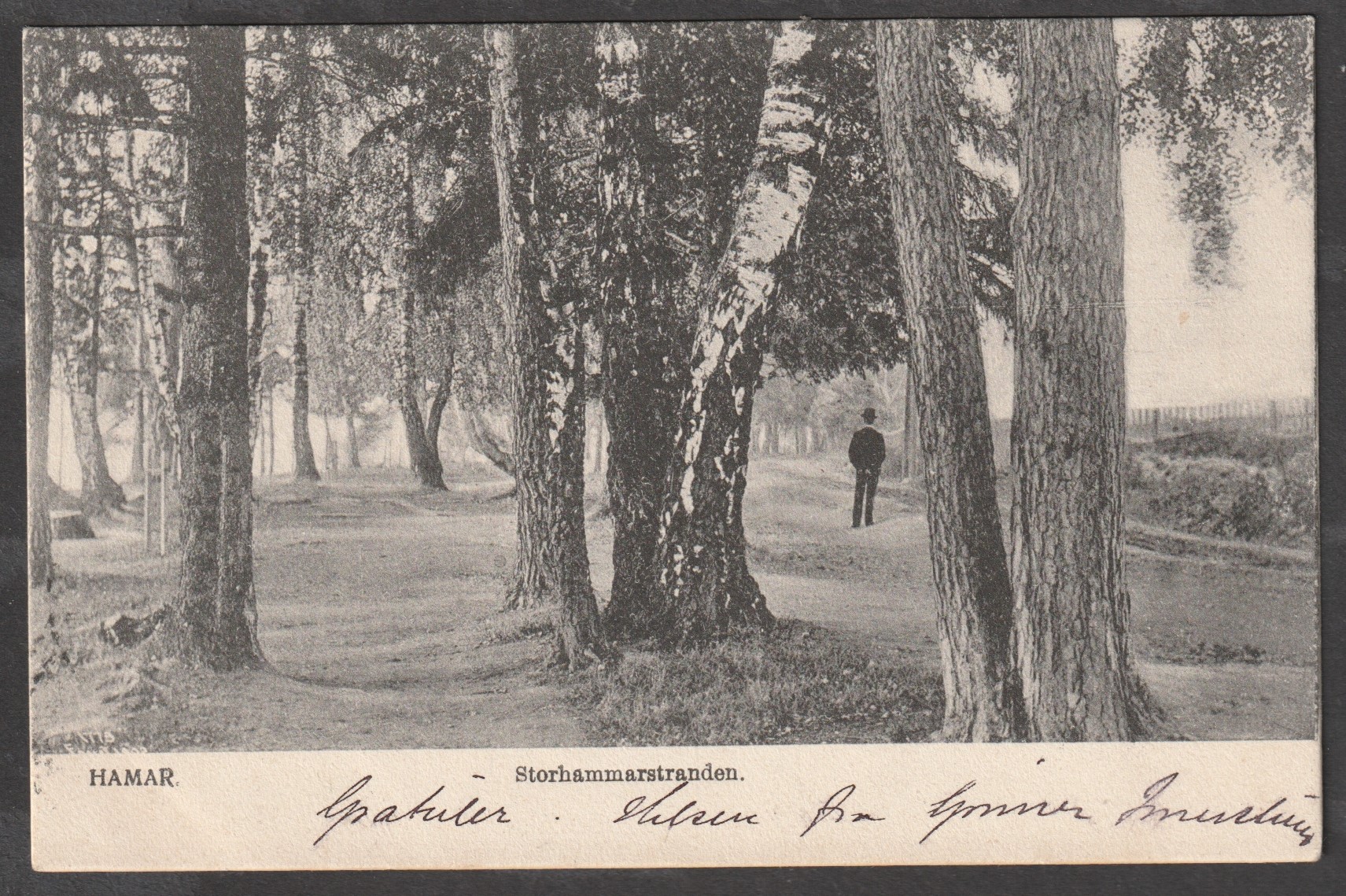 Hamar. Storhammarstranden