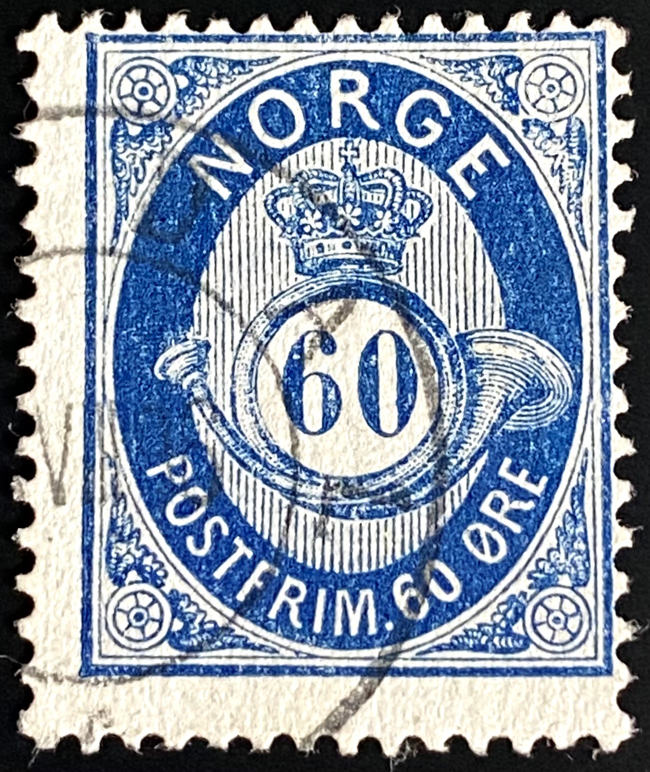 NK 31