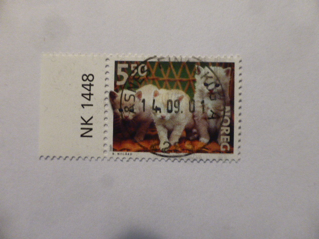 HK 1448 KJÆLEDYR