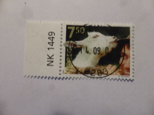 HK 1449 KJÆLEDYR