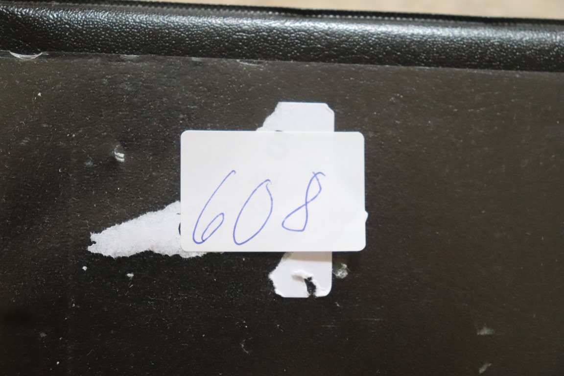 God samling med DANZIG både **/*/§ (608)