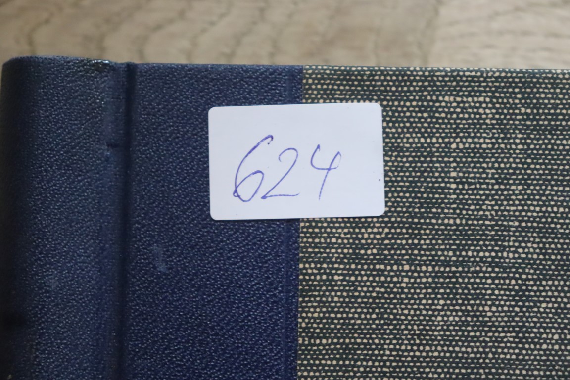 God samling med Hele Verden (624)