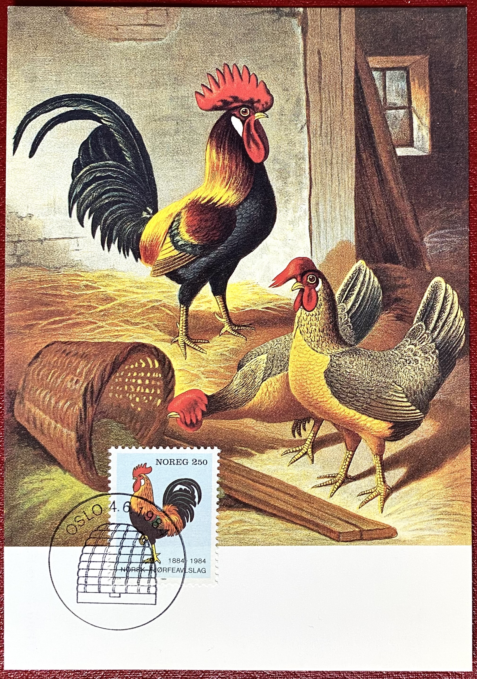 FDC NK 957 Maxikort