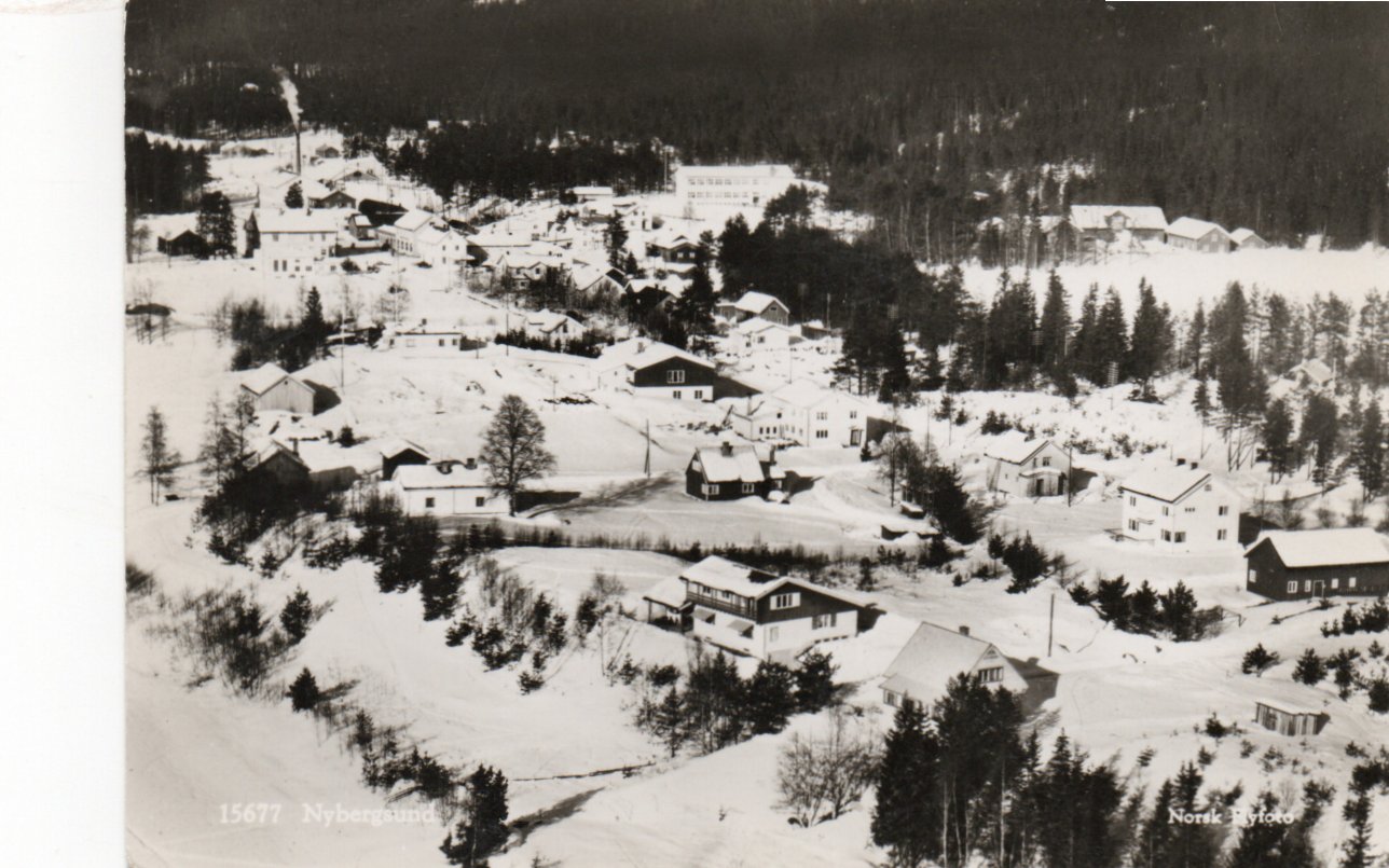 Nybergsund. Noen eneboliger og butikk i bakgr.