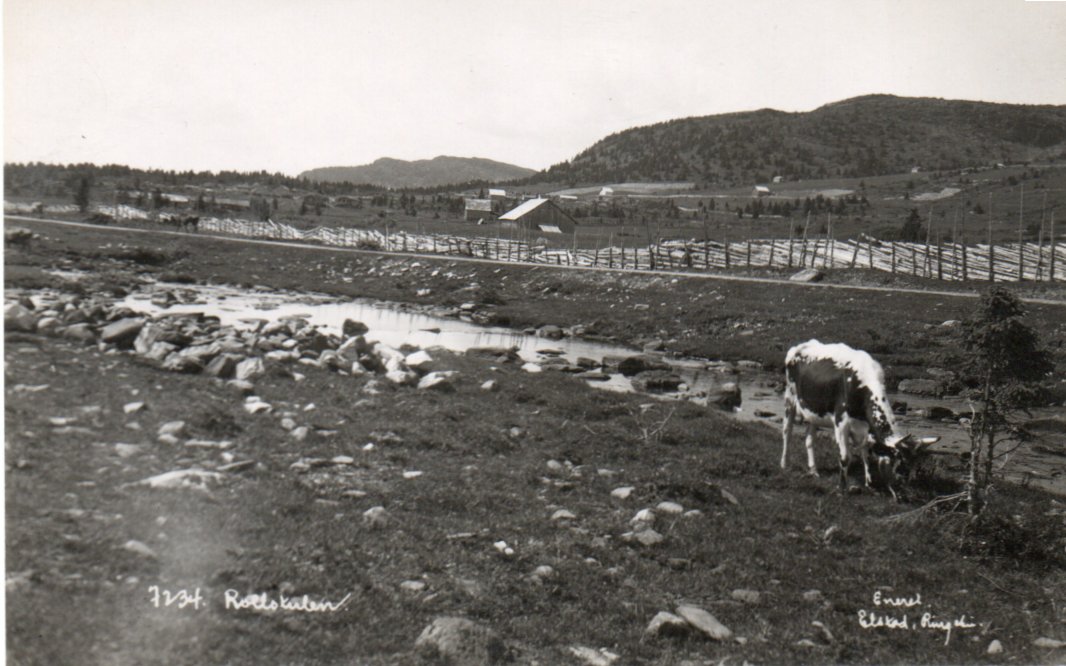 Ringebu-omr. Det står trolig Rolls kulen? Utg. Elstad 7234. Fin kvalitet.