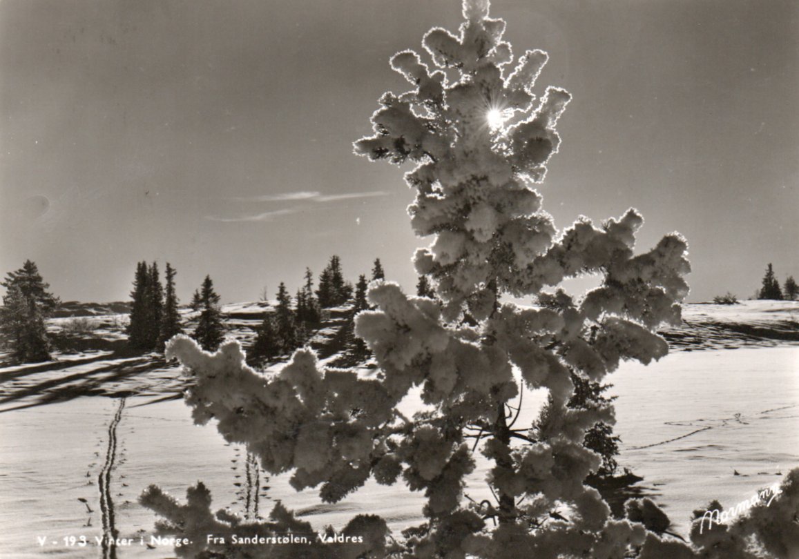 Sanderstølen, Valdres. Vinter i Norge.  Stmp. Leira stasjon 1955.