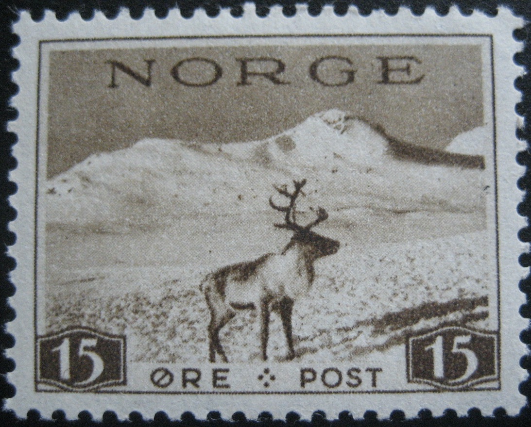 NK 217 **