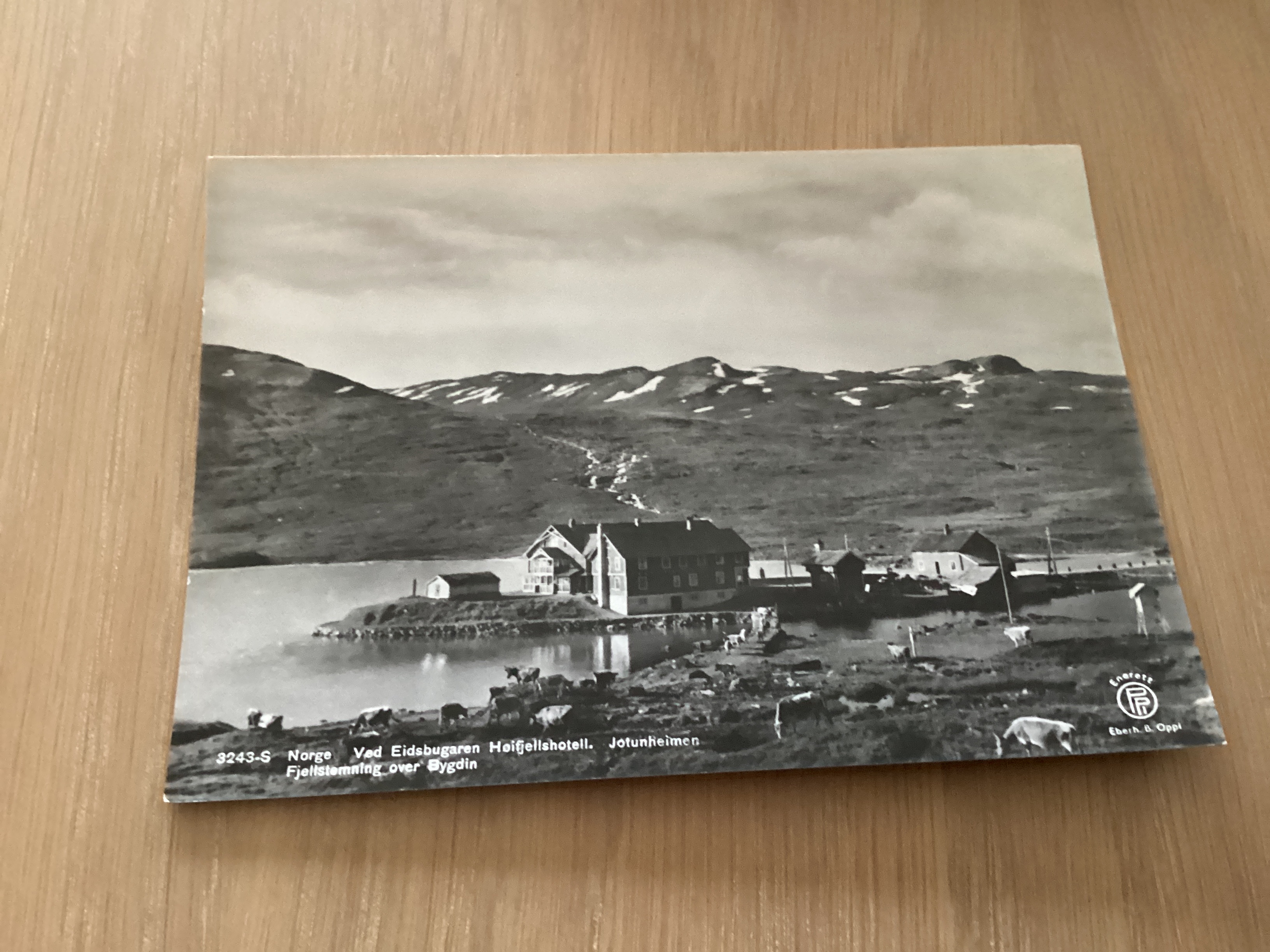 EIDSBUGARDENN HØIFJELLSHOTEL
