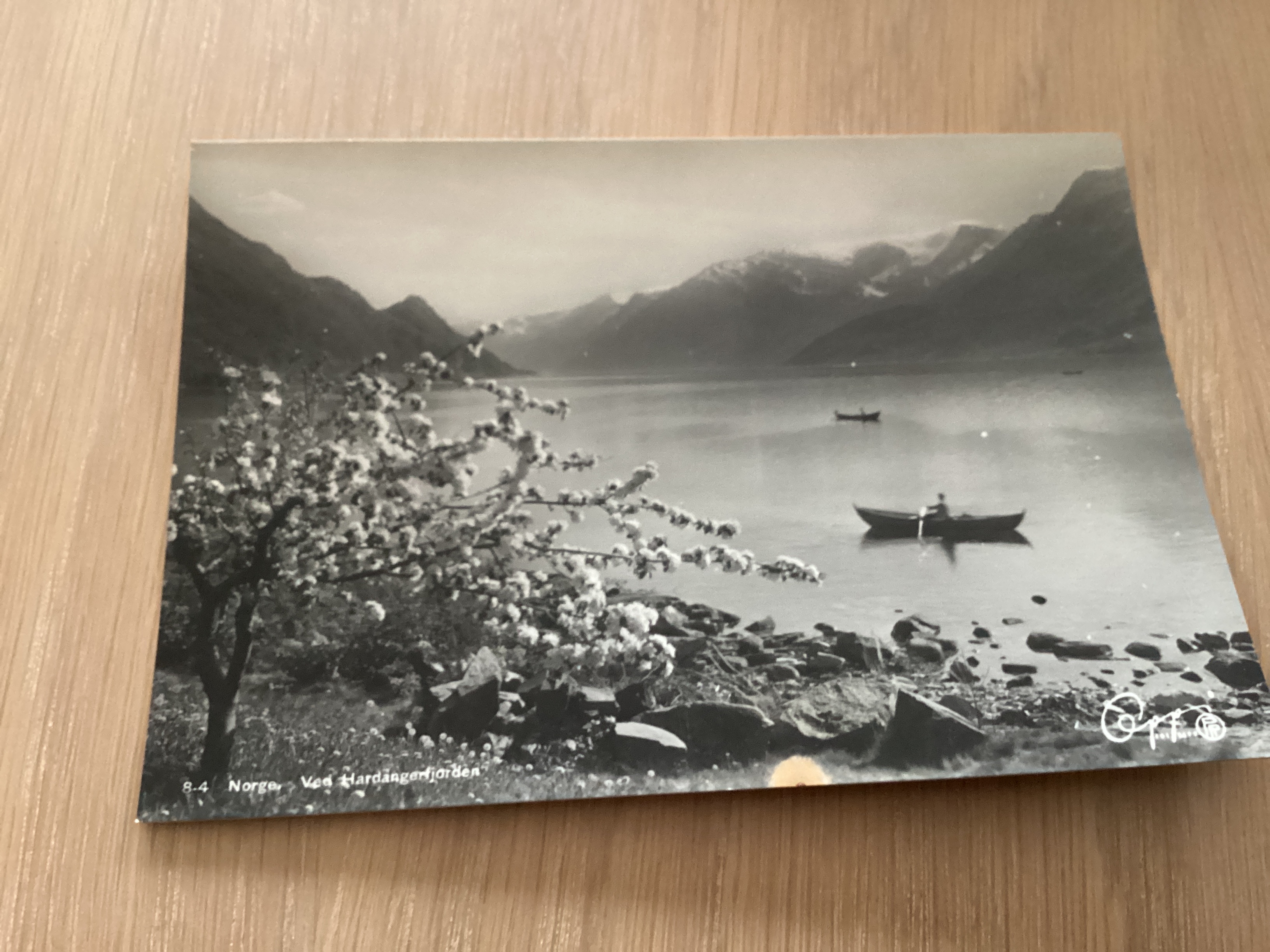 VED HARDANGERFJORD