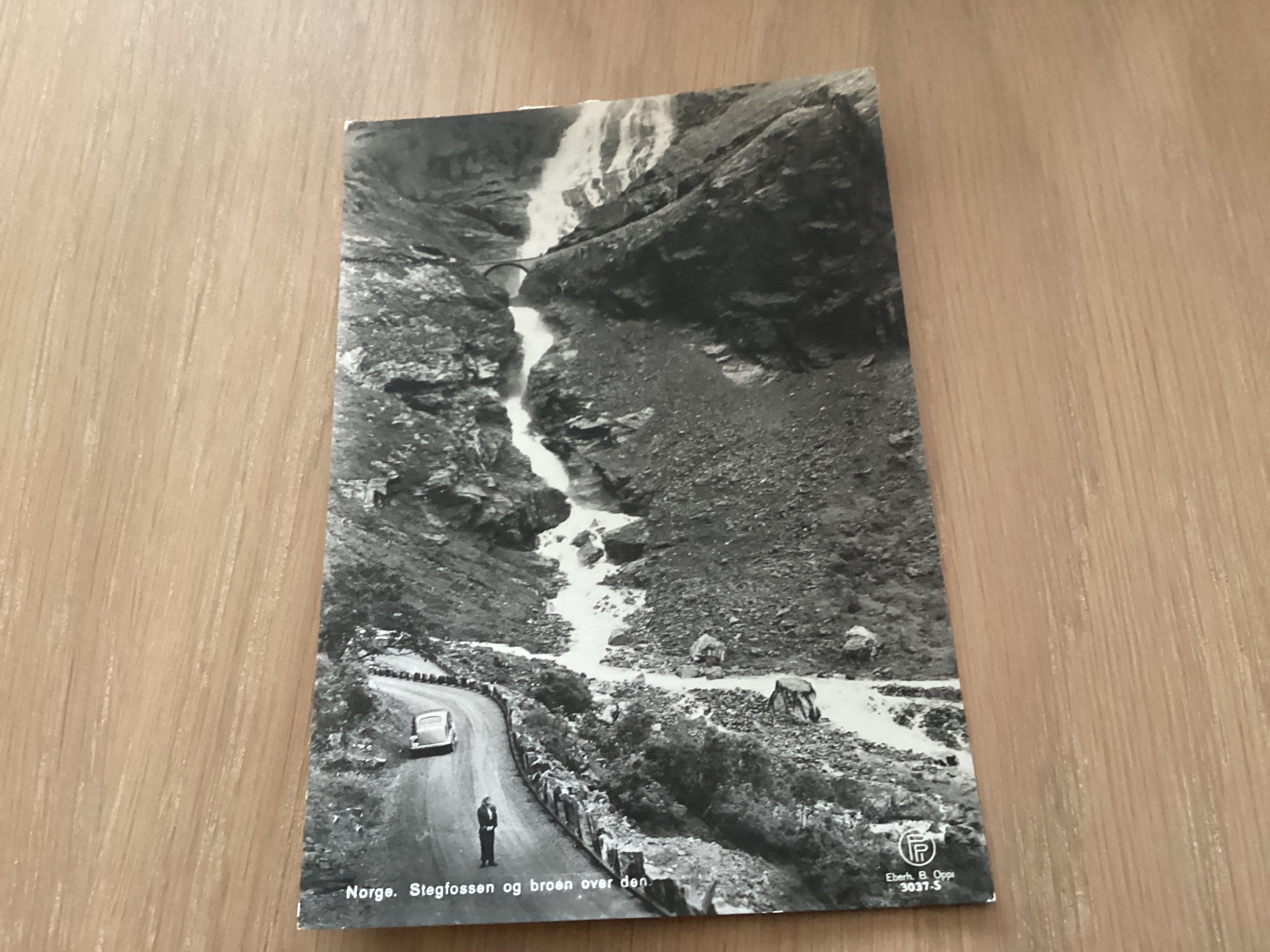 STEGFOSSEN