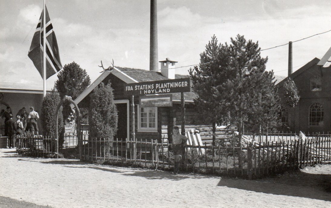Høyland (Jæren) Statens Plantninger og flagget heist. Fin kvalitet.