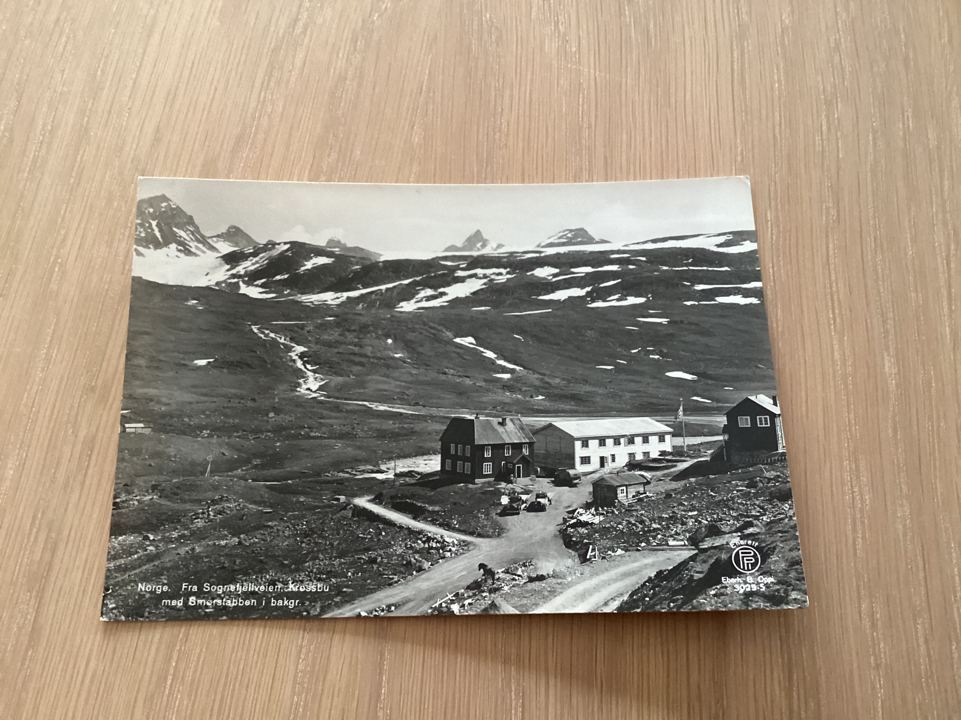 SOGNEFJELLVEIEN KROSSBU