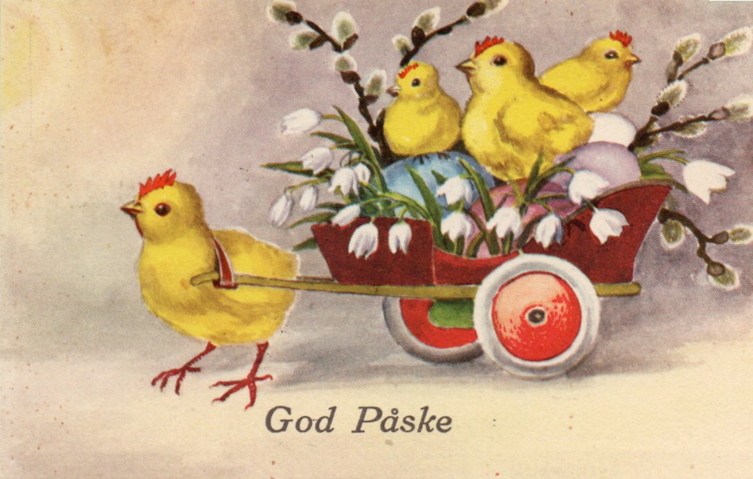 God påske. Kyllinger med tralle.